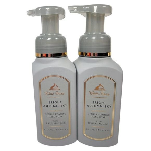 2 BRIGHT AUTUMN SKY Gentle Foaming Hand Soap Bath & Body Works 8.75oz NEW - Picture 1 of 7